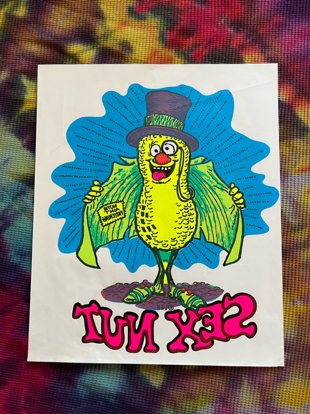 🥜VTG 70’s Adult Iron On Transfer
